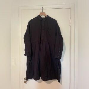 Everlane Oversized Button Shirtdress